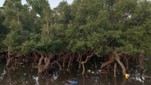 L’Afrique détient le pouvoir et les outils pour redessiner un avenir sans pollution plastique