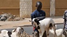 Fête du Mouton : la journée de dimanche fériée en République gabonaise