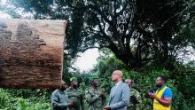 Forêt : le ministre Maurice Ntossui Allogo intensifie les contrôles sur le terrain