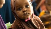 Somalie : un soutien urgent est nécessaire pour les communautés rurales confrontées à la famine