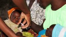 Paludisme : l’OMS recommande l’utilisation à grande échelle du premier vaccin antipaludique au monde