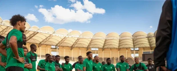 Panthères du Gabon&nbsp;: Pas de match amical en juin, faute de sélectionneur