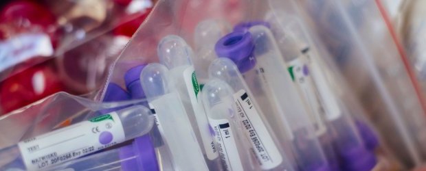 Vaccin russe anti-Covid-19&nbsp;: l’OMS s’est mise en contact avec la Russie pour l’évaluer