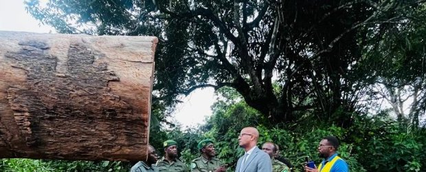 Forêt : le ministre Maurice Ntossui Allogo intensifie les contrôles sur le terrain