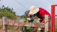 Une barrière électrique à Ghietu-y-Batu en réponse au conflit homme-faune