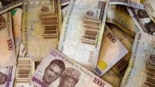 Nigeria : la valeur du naira divisée par 700 depuis sa création en 1973