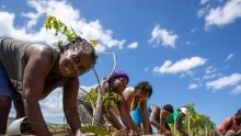 S’adapter pour survivre : 5 façons d’aider les pays à affronter la crise climatique