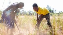 Afrique australe : des millions de personnes menacées par la faim alors que la période de soudure démarre