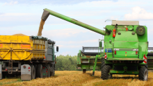 Les prix des produits de base se stabilisent après une hausse début 2021