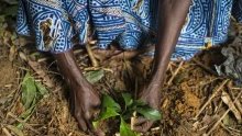 « Nous devons mettre un terme à ces guerres insensées contre la nature »