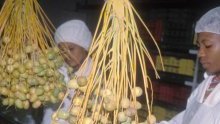 Les économies africaines menacées par la crise du Covid-19