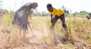 Afrique australe&nbsp;: des millions de personnes menacées par la faim alors que la période de soudure démarre