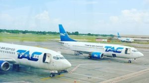 La compagnie Trans Air Congo de retour dans le ciel aérien gabonais