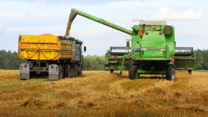 Les prix des produits de base se stabilisent après une hausse début 2021