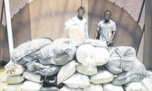 Trafic de drogue&nbsp;: 29 sacs de cannabis saisis au domicile de deux frères à Libreville