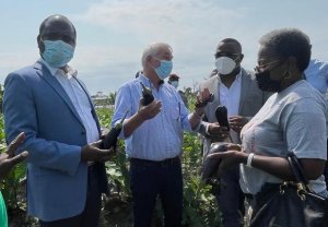 Plan d’accélération de la transformation&nbsp;: le ministre du Commerce à pied d’œuvre