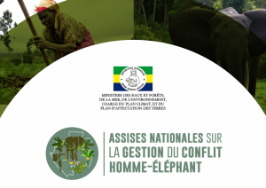 Le Gabon organise ses toutes premières assises nationales sur le conflit homme-éléphant
