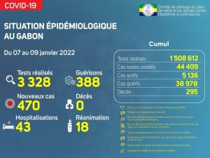 Coronavirus au Gabon&nbsp;: point journalier du 9 janvier 2022